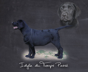 Idylle du temps passé